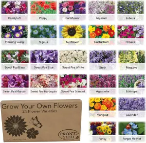 Pronto Seed Flower Bumper Pack, 24 Varieties, Over 3100 Flower Seeds