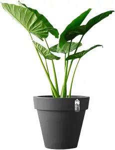 Elho Pure Round 120cm Plastic Plant Pot in Anthracite