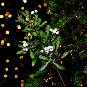 Premier Decorations Limited Mistletoe Stem