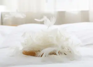 Duck Feather and Down Mattress Topper