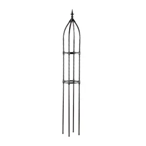 Metal Climbing Plants Obelisk, Steel Garden Flower Cage Support, Clematis, Roses & Vegetables (1, 2.2m)