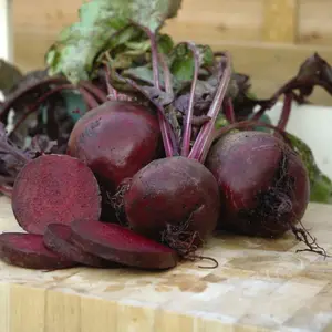 Beetroot Boltardy 3 Seed Packets