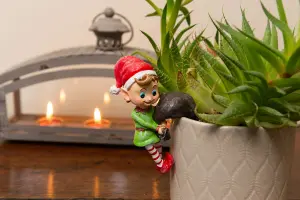 Pot Buddies Christmas Naughty Elf Plant Pot Hanger