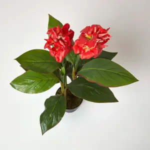 Homescapes Artificial Canna Lily Plant, 90 cm Tall