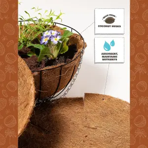 COCO & COIR Flat Basket Liner 30cm 12 inches 3 pack Replacement Liner for Plants Wall Baskets (Round)