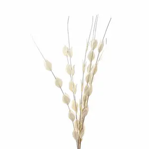 Bouquet of Dried Thlaspi Arvense Artificial Plant - L16 x W16 x H120 cm - White