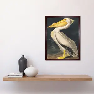 Audubon Style Vintage Detailed Pelican Bird - Print Brown Framed Paper / 43cm H x 33cm W x 2cm D