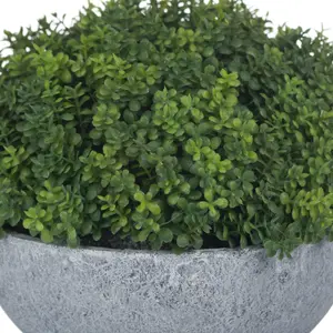 UK Homeliving Small Hebe Globe Pot