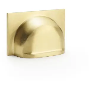 Backplate Cup Handle - Satin Brass 40mm Centres Solid Brass Shaker Drawer Pull