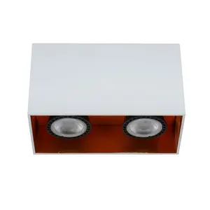 Lucide Bido Modern Surface Mounted Ceiling Spotlight - 2xGU10 - White