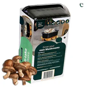 Mushroom Growing Kit Shiitake - Beginner Friendly Ready to Grow Educational Kit - Easy to Use Gardening Gift - Grow Your Own