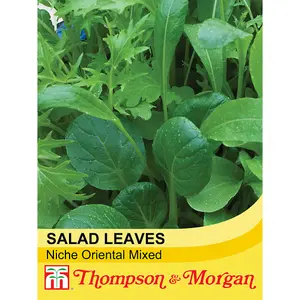 Salad Leaves Niche Oriental Mixed 1 Seed Packet (500 Seeds)