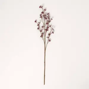 Homescapes Pink Prickly Ash Flower Single Stem 77 cm