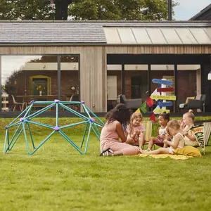 Plum Teal Metal Small Domed Climbing frame