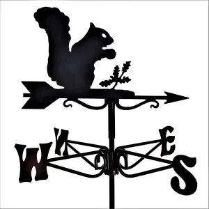 Mini Squirrel Weathervane - Steel - L38 x W38 x H49 cm - Black