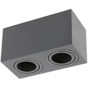 SASHA - CGC Black Twin Rectangular Ceiling Spotlight