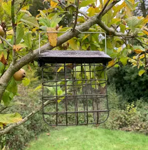 Hanging Suet Block Bird Feeder For Selections Metal Bird Feeding Stations