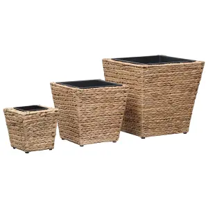 Berkfield Garden Raised Beds 3 pcs Water Hyacinth