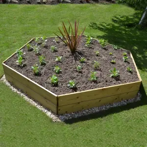 Greena Hexagonal Raised Bed 30 cm High, 120cm each side