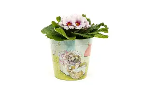 Beatrix Potter Peter Rabbit Eco Pots Set 1 - L13 x W13 x H12.5 cm