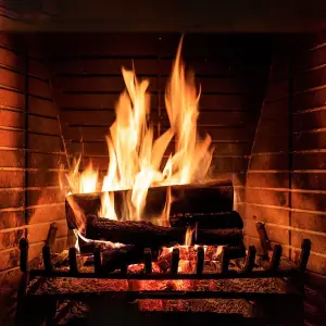 3x12 GardenCo High Energy Heat Compressed Logs - Pack of 36 Dry  Wood Fuel Briquettes For Wood Burners, Open Fires, Stoves