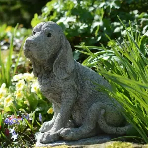 Stone Cast Bloodhound Garden Ornament