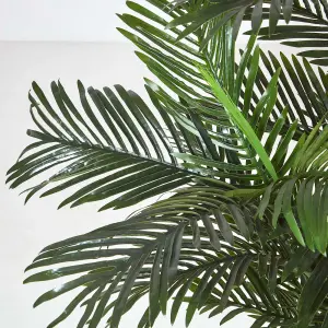 Homescapes Areca Palm Tree in Pot, 120 cm Tall