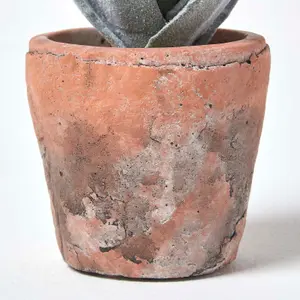 Homescapes Aloe Vera Artificial Succulent in Decorative Rustic Terracotta Pot, 21 cm Tall