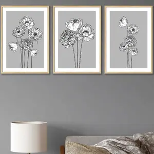 Set of 3 Sketch Art Peonies on Grey Wall Art Prints / 50x70cm / Oak Frame