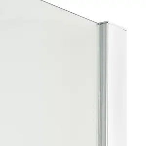 Cooke & Lewis Onega Framed Frosted Fixed Shower panel (H)190cm (W)90cm