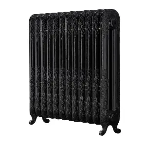 Arroll Daisy Cast iron Black 12 Column Radiator, (W)814mm x (H)794mm