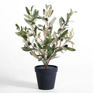 Blooming Artificial - 39cm / 1.25ft Fake Olive Bush