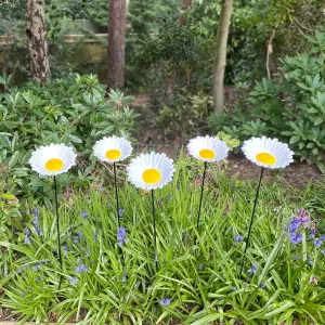 Cast Iron Wild Bird Daisy Flower Dish Bird Feeders (Set of 5)