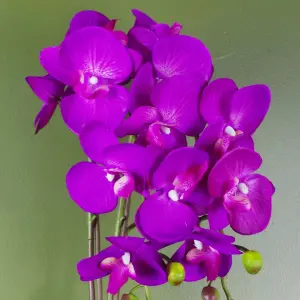 Artificial Orchid Large Purple Gold 52cm Botanik