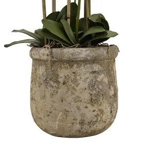 Artificial Large Orchid In Antique Pot - Plastic/Stone - L40 x W40 x H153 cm - White