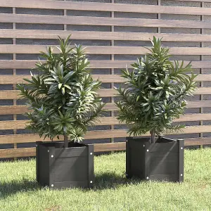 Berkfield Garden Planters 2 pcs Grey 31x31x31 cm Solid Pinewood