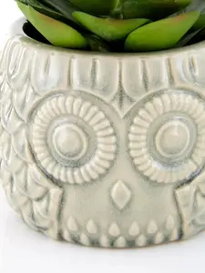 Fiori Large Succulent in Grey Ceramic Owl Pot Artificial Plant Foliage