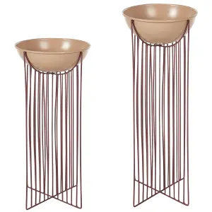 Set of 2 Elevated Plant Pots FICARIA Metal Pink