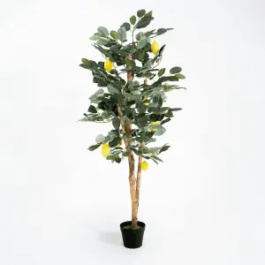 Blooming Artificial - 150cm / 5ft Artificial Lemon Tree