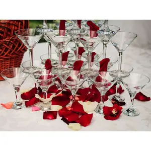 Queensway Home & Dining 190ml 35Pcs Bistro Martini Cocktail Glasses Saucers