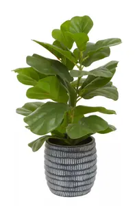 Interiors By Premier Synthetic Ficus Tree, Environment Friendly Indoor Ficus Tree, Easy To Maintain Pot For Artificial Flowers