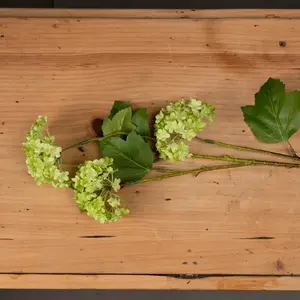 Hydrangea Arrangement (Set of 3)