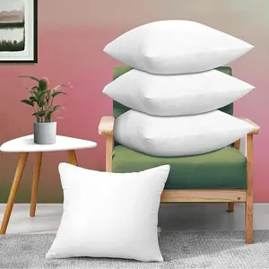 Westbourne Cushion Pad (Set of 2) 45.7cm H x 45.7cm W x 10cm D