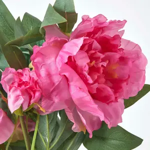 Homescapes Pink Artificial Peonies in Decorative Black Pot, 48 cm Tall