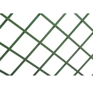 Green Plastic Trellis (W)100cm x (H)200cm