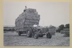 Garden Market Place Massey Ferguson MF35 Tractor with a Trailer of Straw Canvas Picture Print