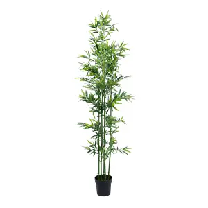 Blooming Artificial - 210cm / 7ft Fake Green Stem Bamboo