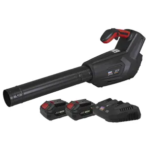 Sealey SV20 Series Cordless Blower Kit 40V 4Ah Heavy Duty Trigger Lock CP40VBKIT