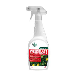 Weedblast Fast Acting Weedkiller 2 x 1L Spray