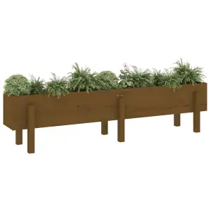 Berkfield Garden Raised Bed Honey Brown 160x30x38 cm Solid Wood Pine